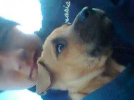 truman
